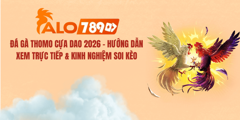 Đá Gà Thomo Cựa Dao 2026 – Trực Tiếp & Kinh Nghiệm Soi Kèo