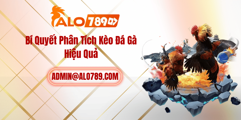 Bí Quyết Phân Tích Kèo Đá Gà Hiệu Quả